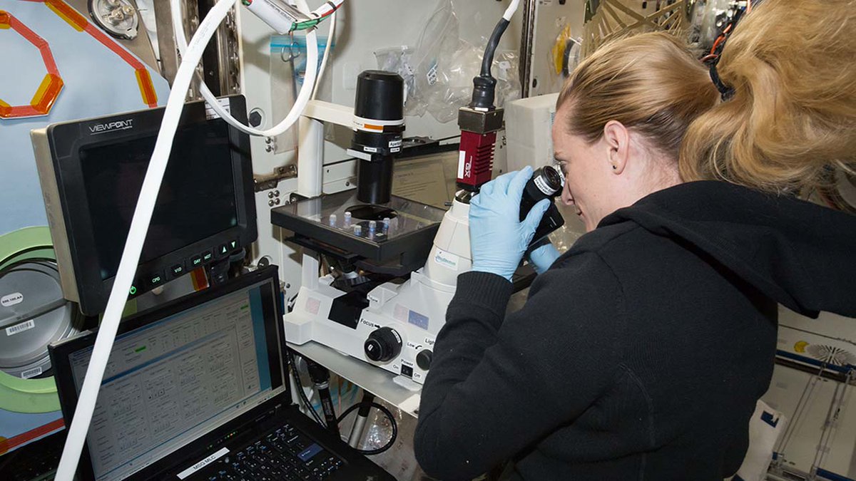 NASA astronaut Kate Rubins conducted hundreds of experiments during her time on the @Space_station, but as a biologist, one stood out above others. Read a Q&A on this pioneering research including how she 'geeked out' over a microscope. #biotech Details: ow.ly/stRB50R6W3h