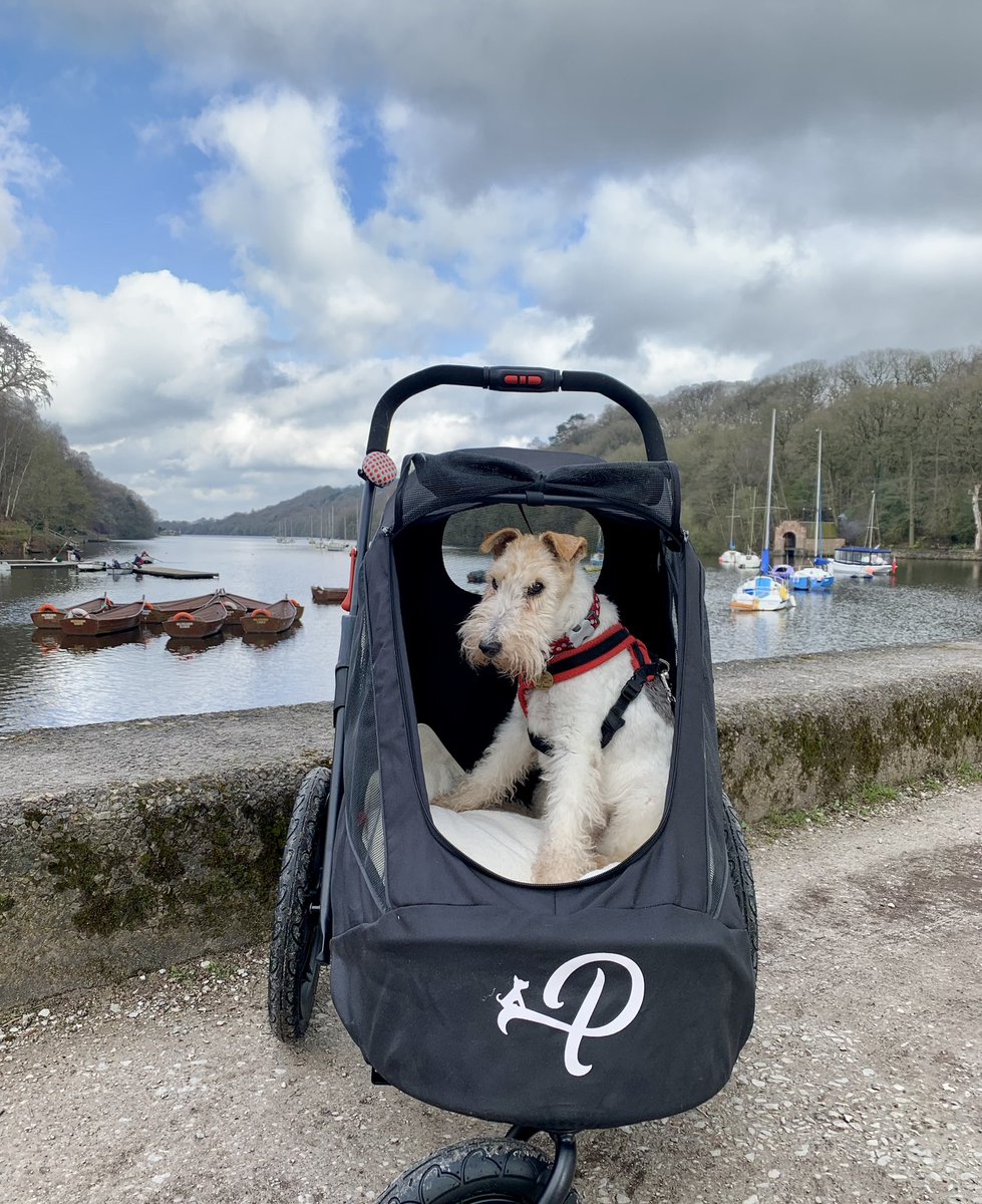 I've been for a spin in the nana waggon. Don't tell the 👩🏻‍🦰, but I rather enjoyed it. She says she can walk further with me - and I did hop out and walked back with her - watching as she tried to control me and the nana waggon and then drive it straight through some 🐶💩.... 😳😀