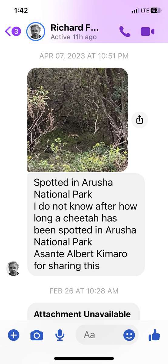 cheetahdefender's tweet photo. Really exciting cheetah sighting at Arusha National Park! https://t.co/PW6qPtzfli