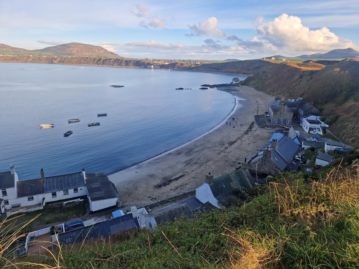 Emer O'Connell tweet media