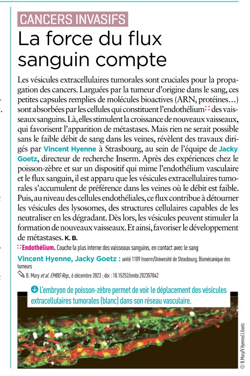 Jacky GOETZ tweet media