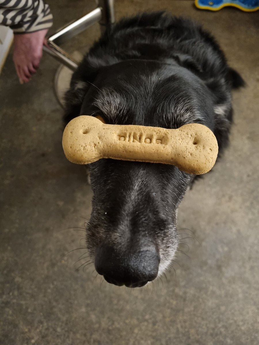 Sheppertonium-235 tweet media