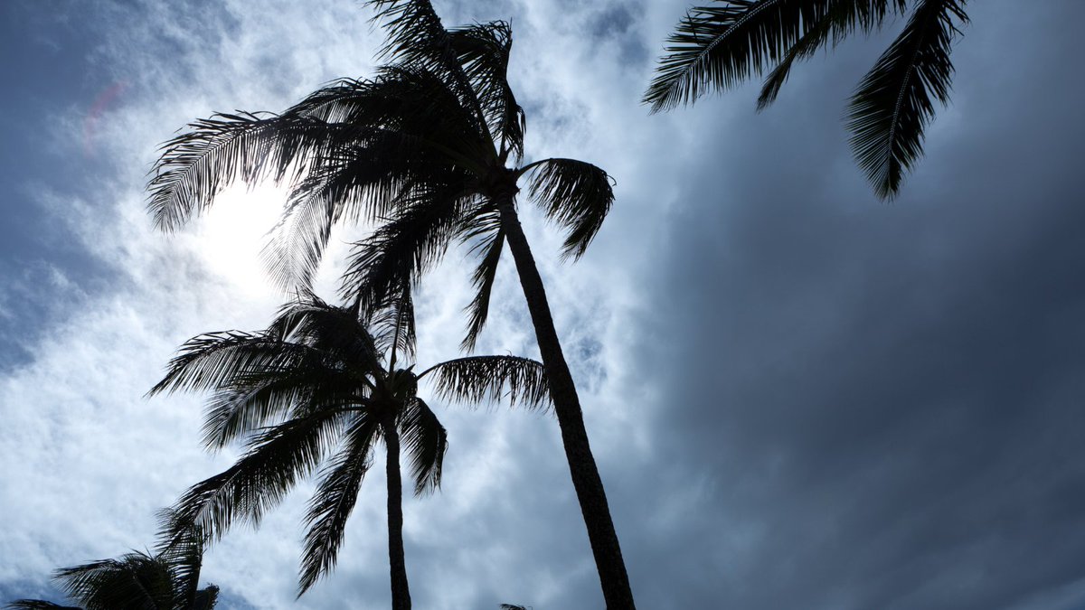 🌀Be prepared ahead of #HurricaneSeason🌀 -Build an emergency kit -Prepare your home -Make an emergency plan -Plan how you will receive emergency information & alerts #CollierCounty