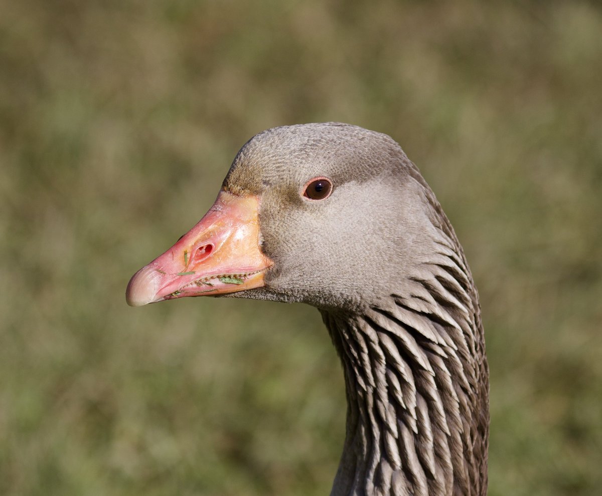 border70's tweet image. A good day with the camera.