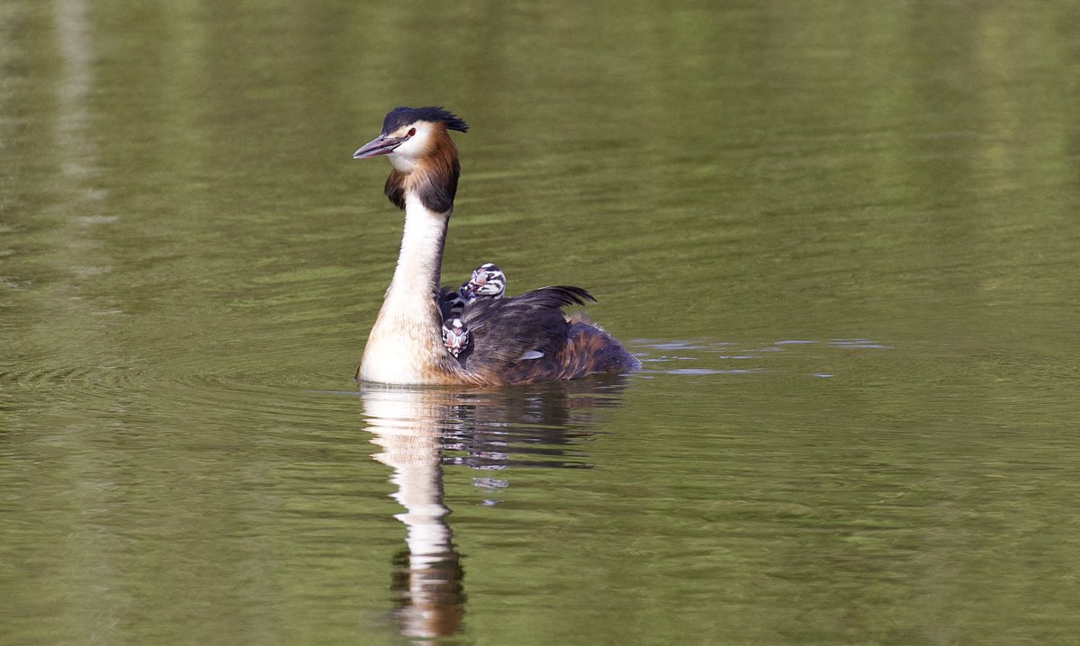 border70's tweet image. A good day with the camera.