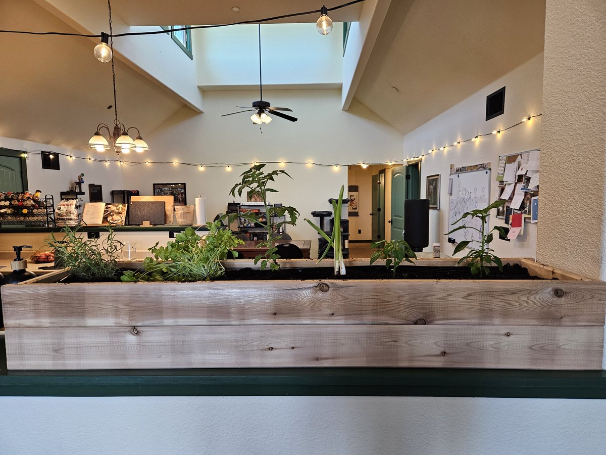 Icepickun's tweet image. Indoor garden complete!