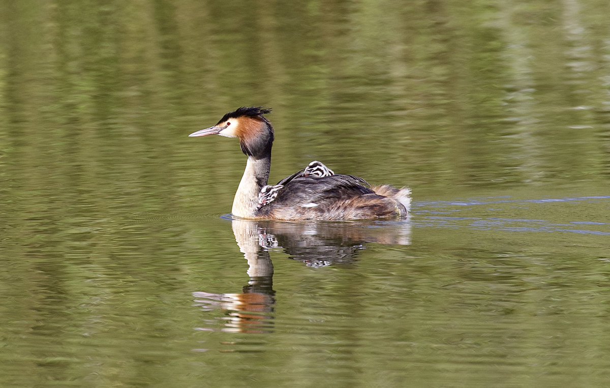 border70's tweet image. A good day with the camera.