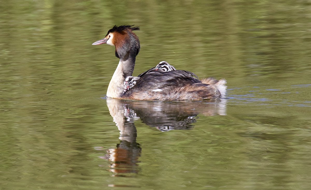 border70's tweet image. A good day with the camera.