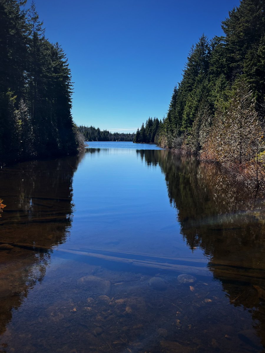 Julia Wright tweet media