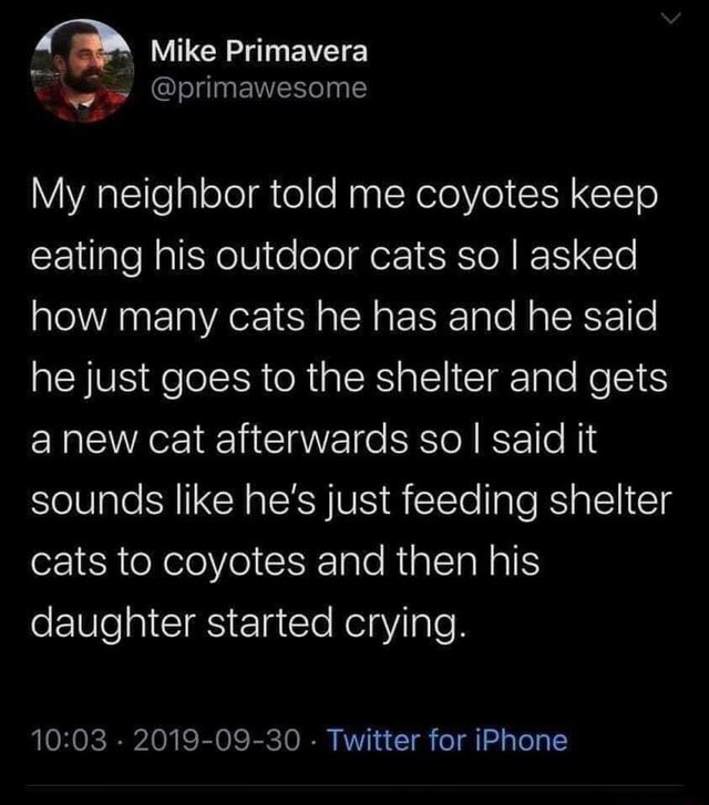 hannah (@dogfanhan) on Twitter photo 