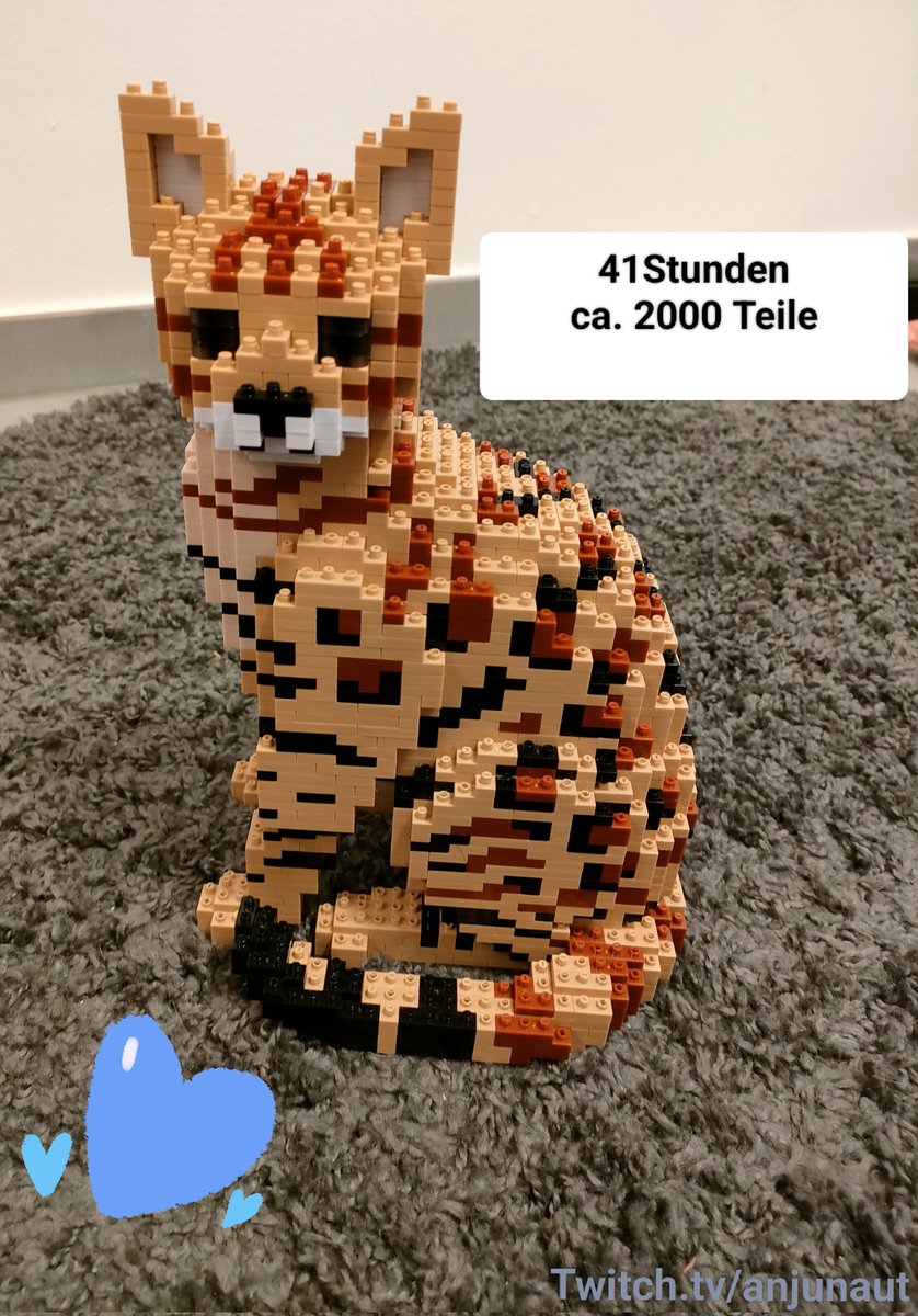 Die Katzi ist fertig. Ganze 41 Stunden hat sie gedauert. Aaalles im Stream gemacht :D Schaut gerne vorbei&lt;3 #Twitch #TwitchStreamers #Katze #Klemmbausteine #Bengal #Bluebrixx #Jekca
twitch.tv/anjunaut