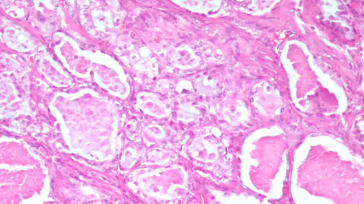 Estef Valdés tweet media