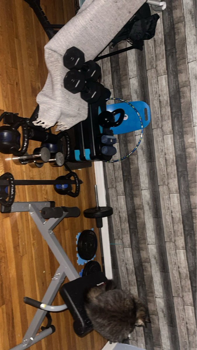SueHappy3's tweet photo. Body pic still loading! π₯± #mytime #personal #lyfting #musclegain #bodyacceptance #moreweight #lessfat #homeworkouts #introvert https://t.co/n9iNj1XANj