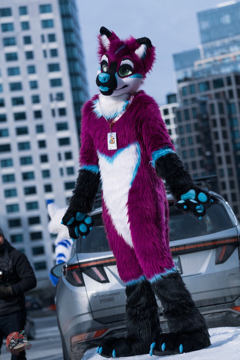 No thoughts, just purple dog in the big city! 📸 @BluLeggy