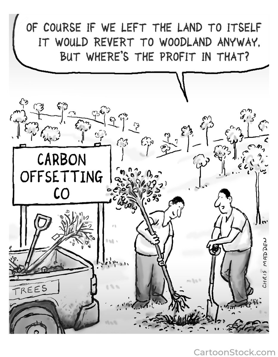 Happy Earth Month! Planting #trees is good, mostly, especially in cities. Even better is letting afforestation occur naturally. We need more #forests, not more tree plantations. In regard to #carbonoffsets, cutting our #energy consumption is far more impactful. #LessIsMore