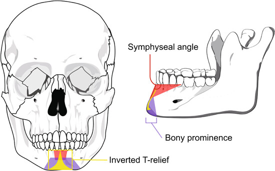 JEZB1904's tweet image. What is a trait? Lessons from the human chin
Andra Meneganzin, Grant Ramsey, and James DiFrisco use the human chin to illustrate the problem of trait individuation and define an approach to address it.
onlinelibrary.wiley.com/share/HSYX8AG7…