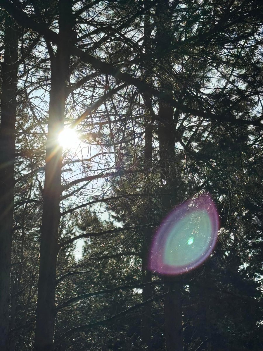 Өглөөний мэнд ☀️
Үйлс бүхэн нь өөдөө байг 😉