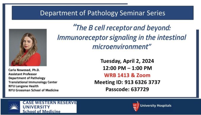 What a lovely time hosting @CarlaTheNove at @CWRUSOM today! A fascinating talk on B cell dynamics in gut germinal centers. And turns out, things in the gut aren't as polyreactive as we thought! Thanks for visiting Dr. Nowosad🌟 @nyugrossman