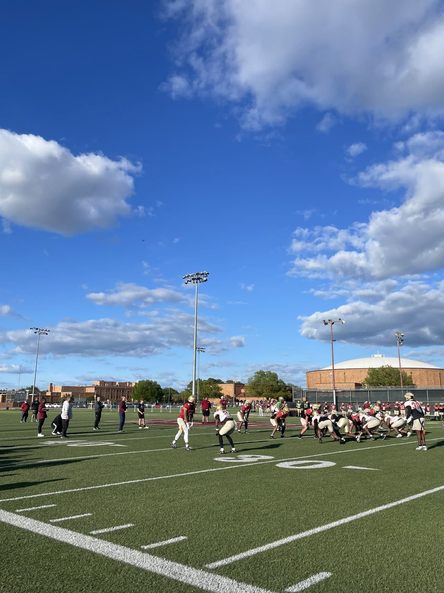 Back to work! 💪

#StangGang