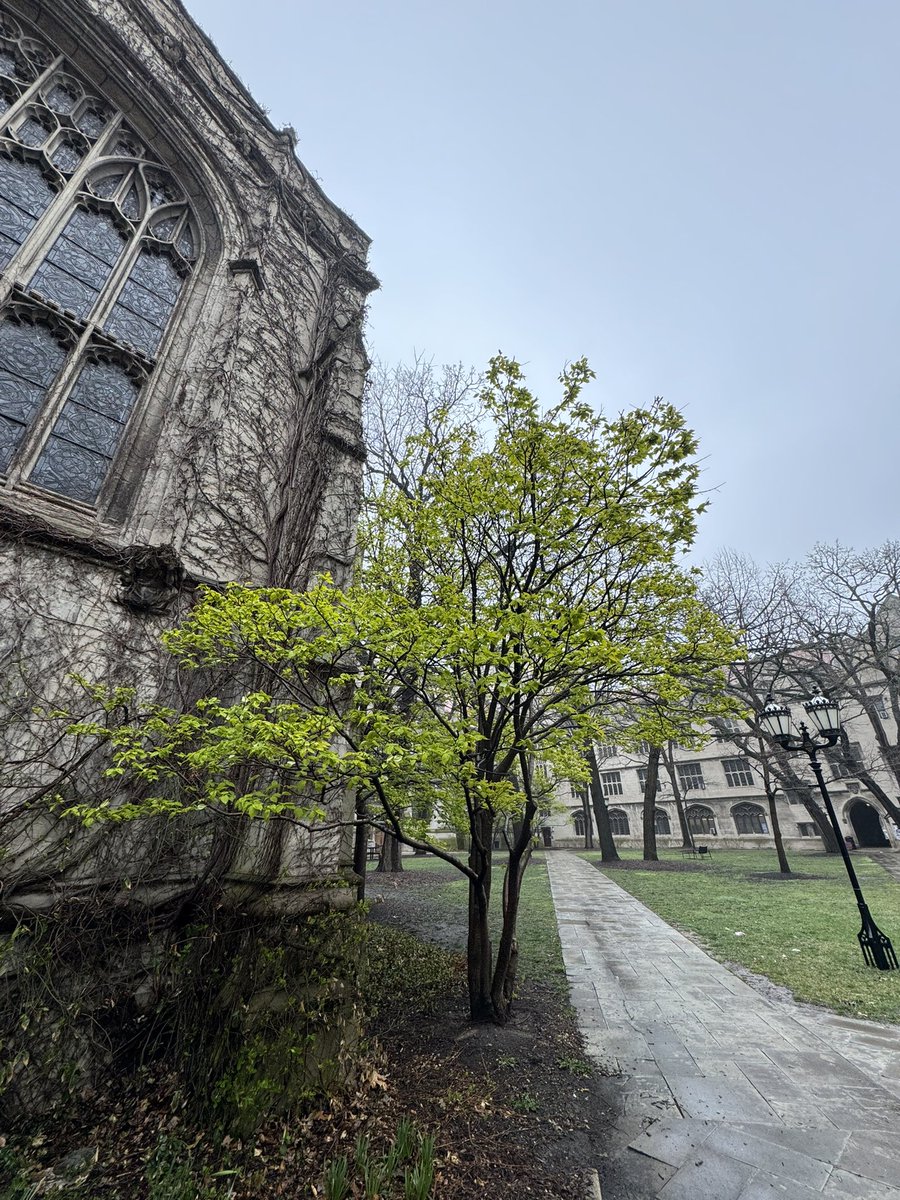 UChicagoCollege tweet picture