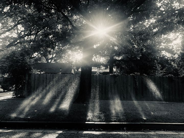 InvestWichita's tweet photo. Art of the Day: "Happenstance". Buy at: https://t.co/2YwPU4O00E https://t.co/ww2FeguPD1