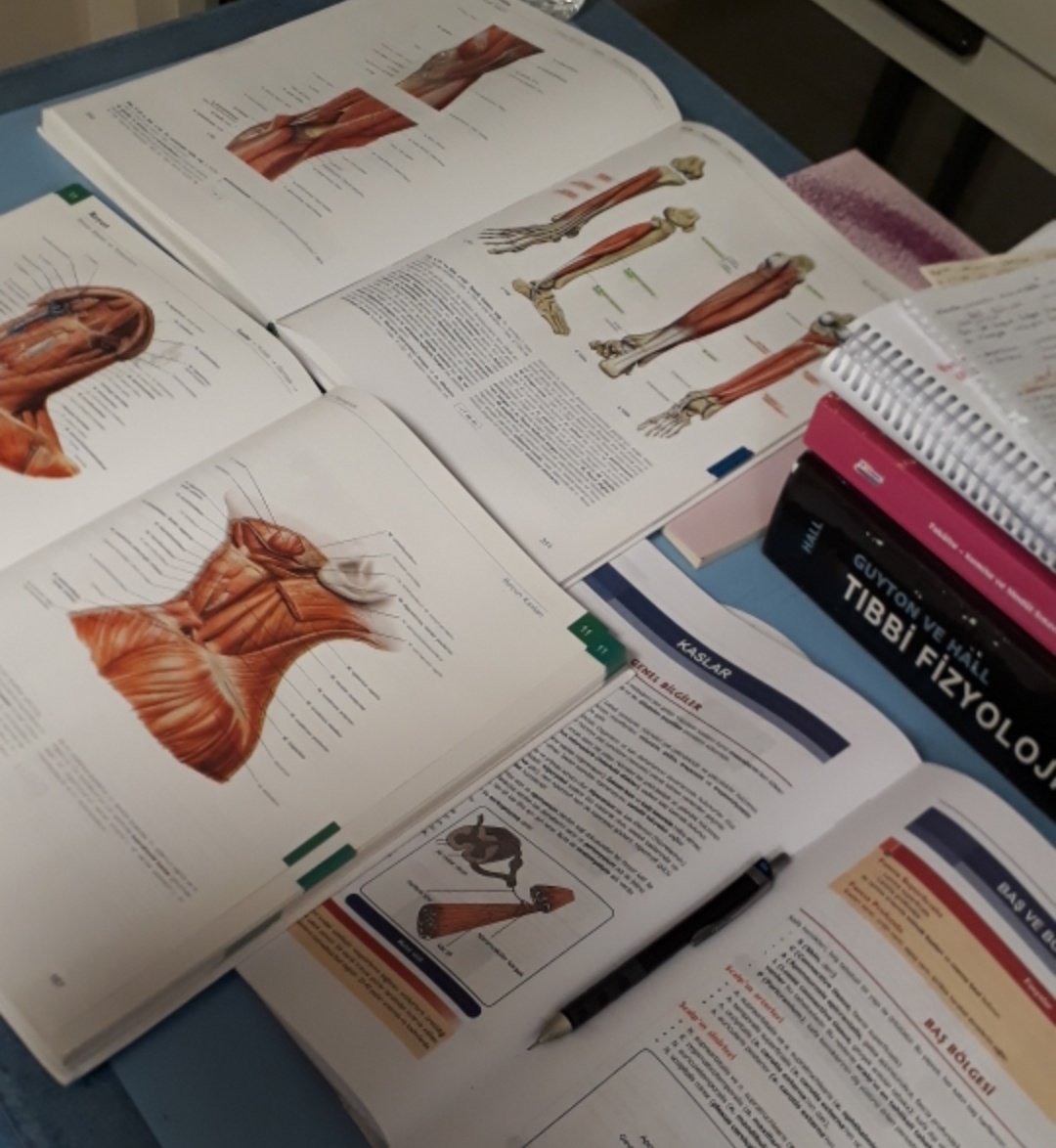 sıfırdan tanışılıp sabaha kadar çalışılan o gece