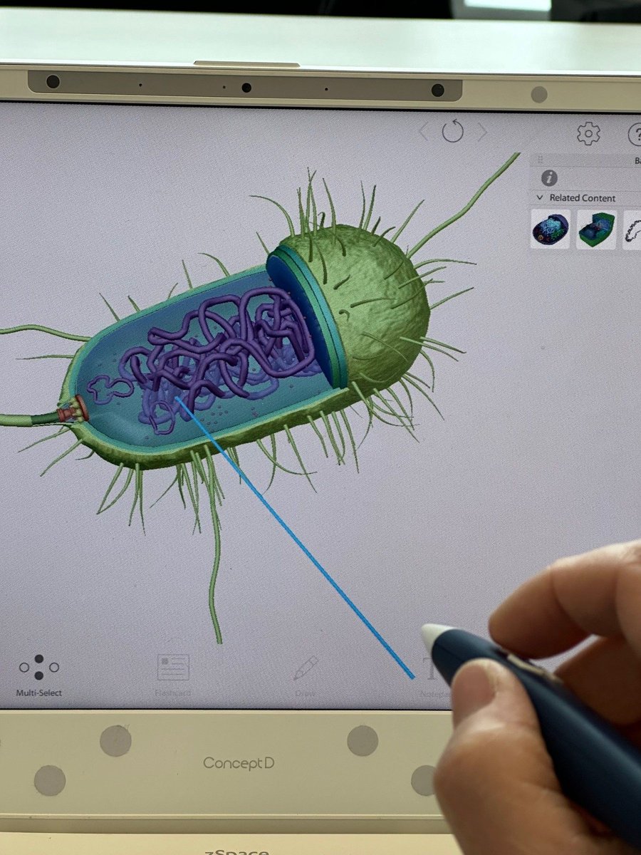 "zSpace in the X>STUDIO" > Recently, the I+R team <a href="/GVSU/">Grand Valley State</a> had an opportunity to experience 3D visualization with a cutting-edge zSpace Inspire laptop in the X>STUDIO. <a href="/zSpace/">zSpace</a> offers immersive and interactive learning experiences for education: buff.ly/3vJ0tPW