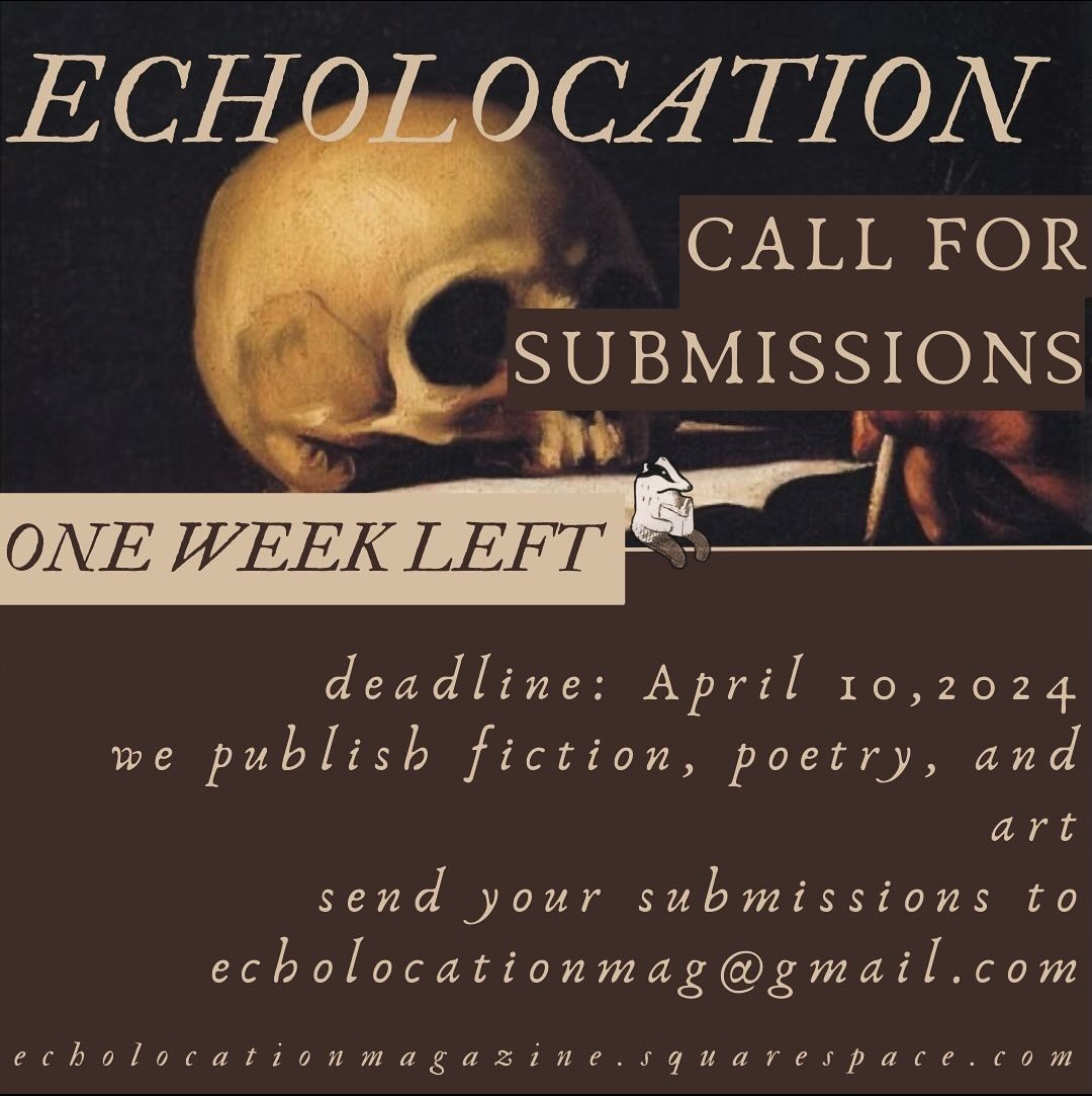 Echolocation Magazine tweet media