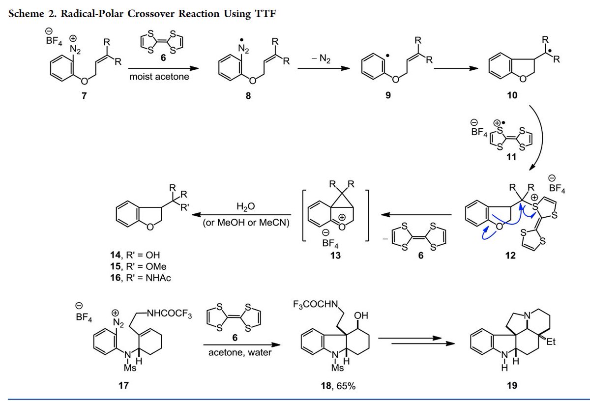 That Chemist tweet media