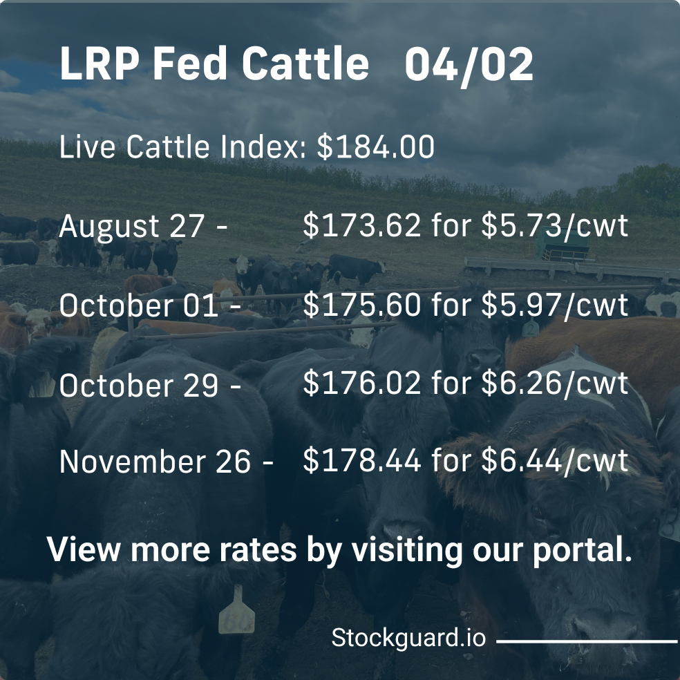 Stockguardinfo's tweet image. Tuesday, April 2nd LRP Rates: Stay current on today&apos;s live and feeder cattle rates–don&apos;t fall behind on the market! View live rates: hubs.ly/Q02ryQ2G0

#LivestockRiskManagement #RiskManagementTools #LivestockSafety #FarmersProtection #LivestockInsurance