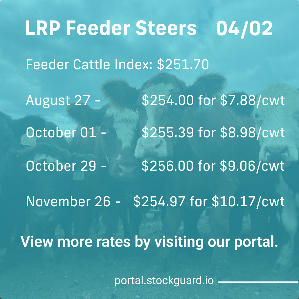 Stockguardinfo's tweet image. Tuesday, April 2nd LRP Rates: Stay current on today&apos;s live and feeder cattle rates–don&apos;t fall behind on the market! View live rates: hubs.ly/Q02ryQ2G0

#LivestockRiskManagement #RiskManagementTools #LivestockSafety #FarmersProtection #LivestockInsurance