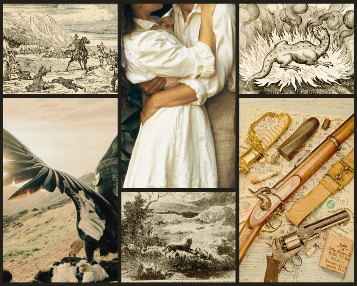 🏜️ Lady sheriff MC
🏜️ #OwnVoices HoH rep
🏜️ Fantasy twist on 1857 Southern Nevada/Utah
🏜️ Brains-over-brawn love interest
🏜️ Sex positivity like woah
🏜️ Yes, there's a dragon, but the real monsters were the Mormons we met along the way

#QuestPit #A #F #R