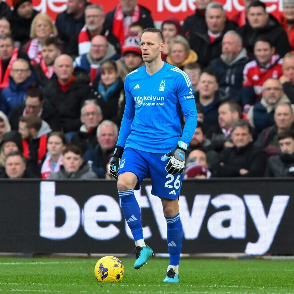 Matz Sels is so good. Superb again today. #NFFC