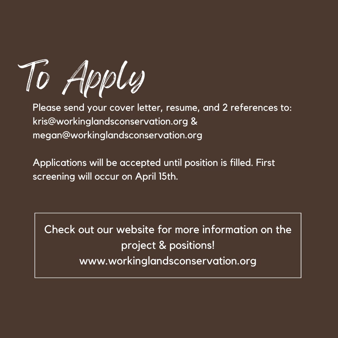 workinglandsorg's tweet photo. We are looking for a Ph.D.-level Research Soil Scientist who will lead our new NRCS-funded Climate Smart Commodities projects in Colorado, New Mexico, and on the Navajo Nation.

https://t.co/pKwi0HnheA https://t.co/pNBm99JHaC