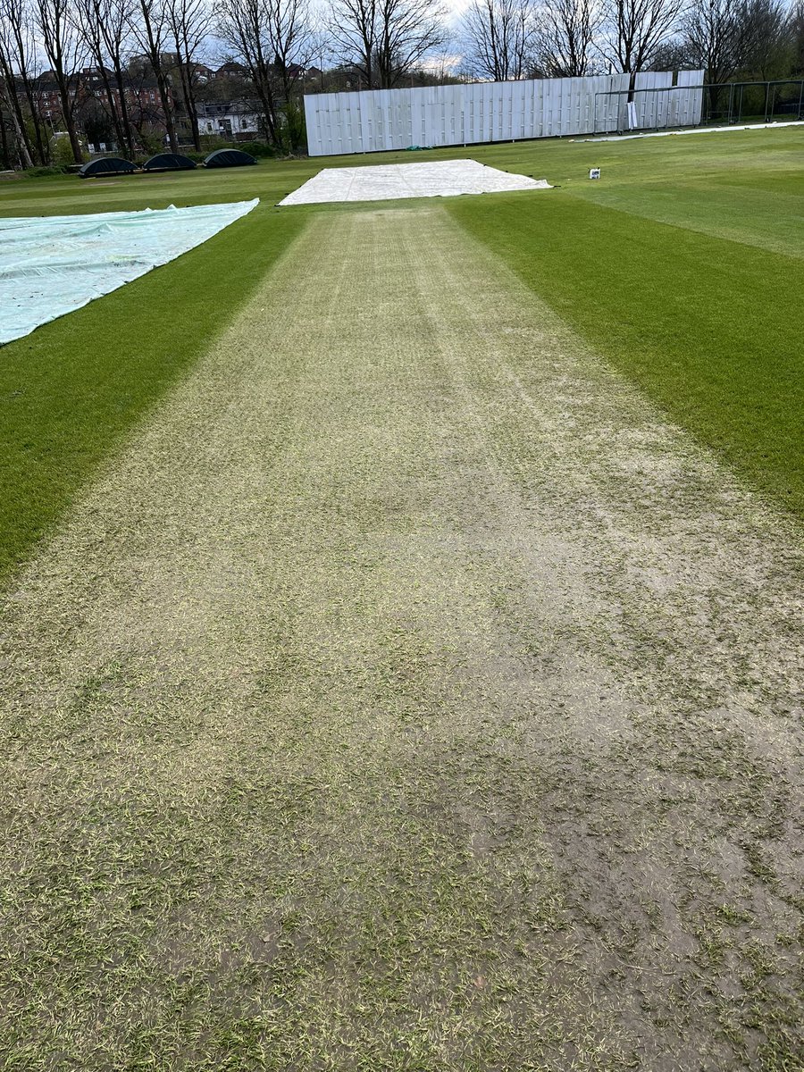 David Hodgson tweet media