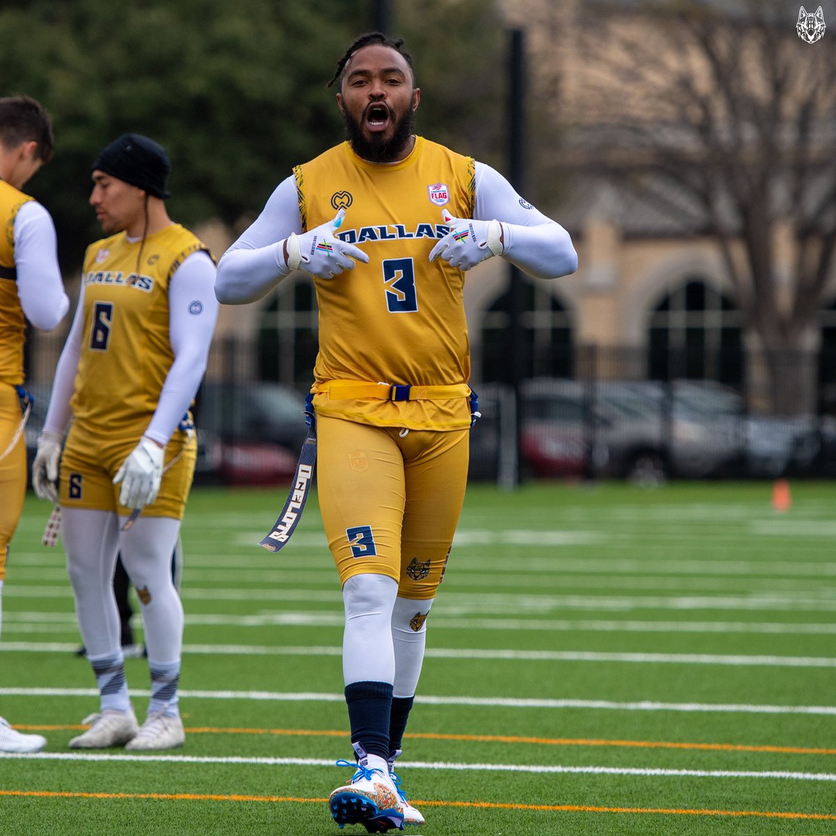 Dallas Ocelots tweet media