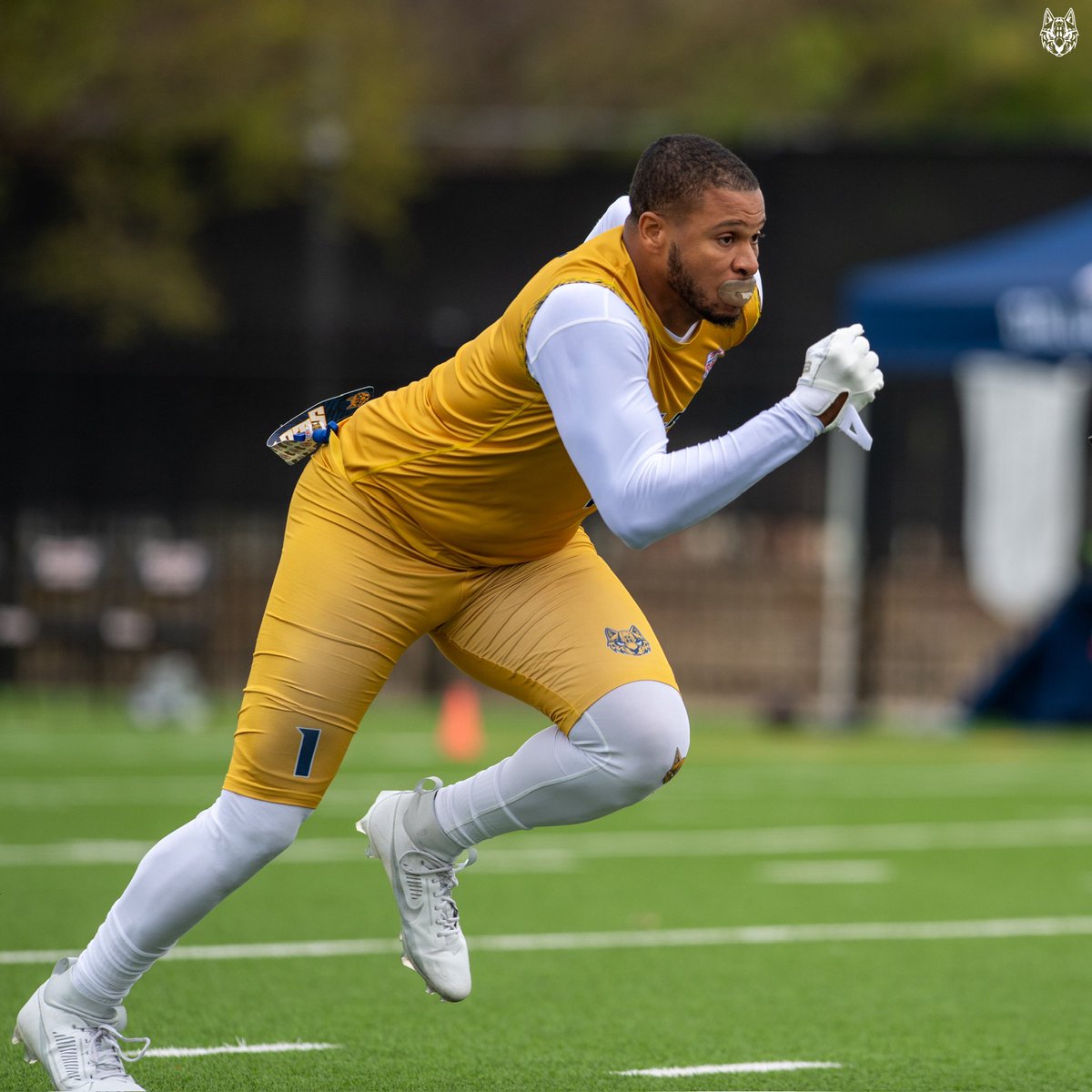 Dallas Ocelots tweet media