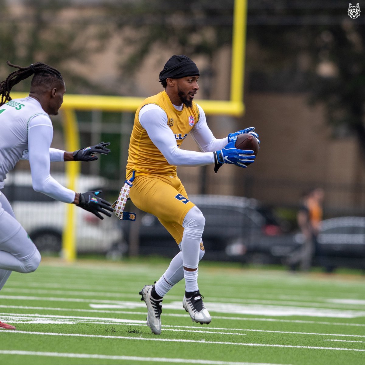 Dallas Ocelots tweet media