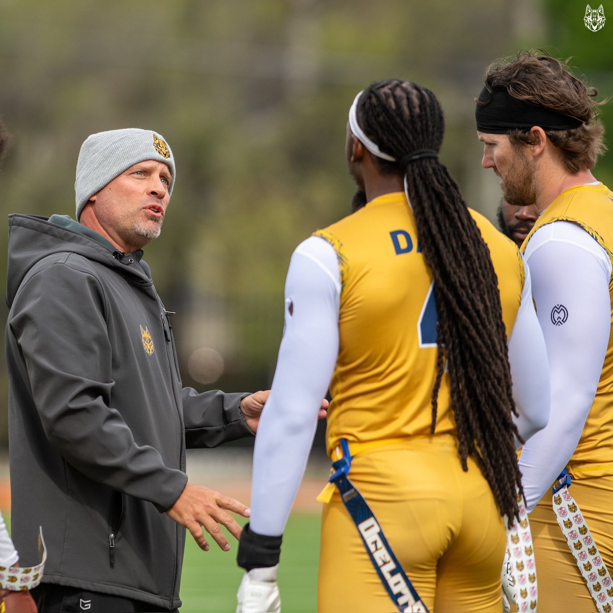 Dallas Ocelots tweet media