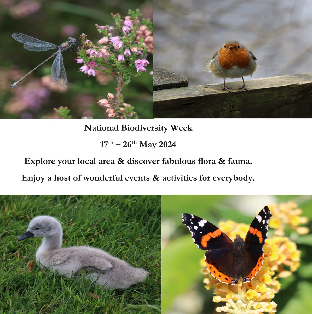 #NationalBiodiversityWeek It's about connecting people with nature & encouraging them to explore & discover the fabulous flora & fauna in the local area. Could you play a part in protecting YOUR local #biodiversity ?