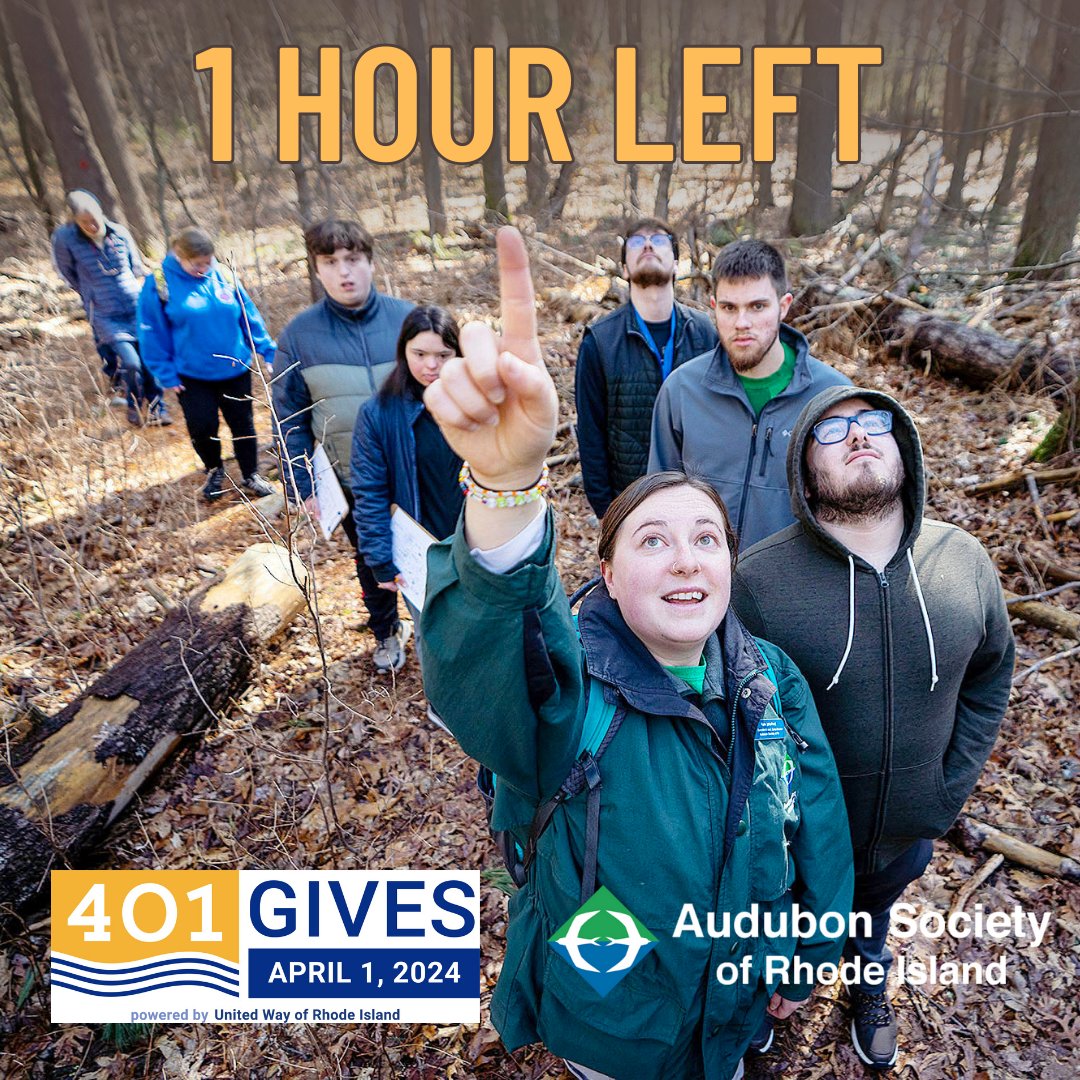 We're so close! Donate at asri.org/401gives by 6 pm to keep the trails clear and safe, create a more accessible Audubon, and help us protect even more habitat when birds and other wildlife need it most! #401Gives