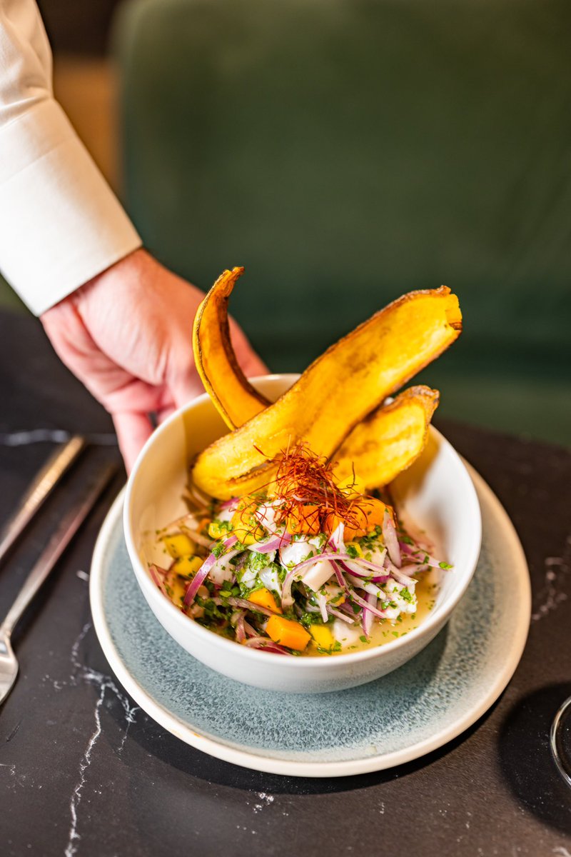 virginhotelsdal's tweet photo. Hook, line &amp; sink your teeth all new dinner delights at #CommonsClubDal 🎣

Menu Standouts: 
⭐️ Snapper Ceviche
⭐️ Seared Scallops
⭐️ Short Rib Ossobuco 

Book a table: https://t.co/DlEvHECCBO https://t.co/MUB37CHwk1