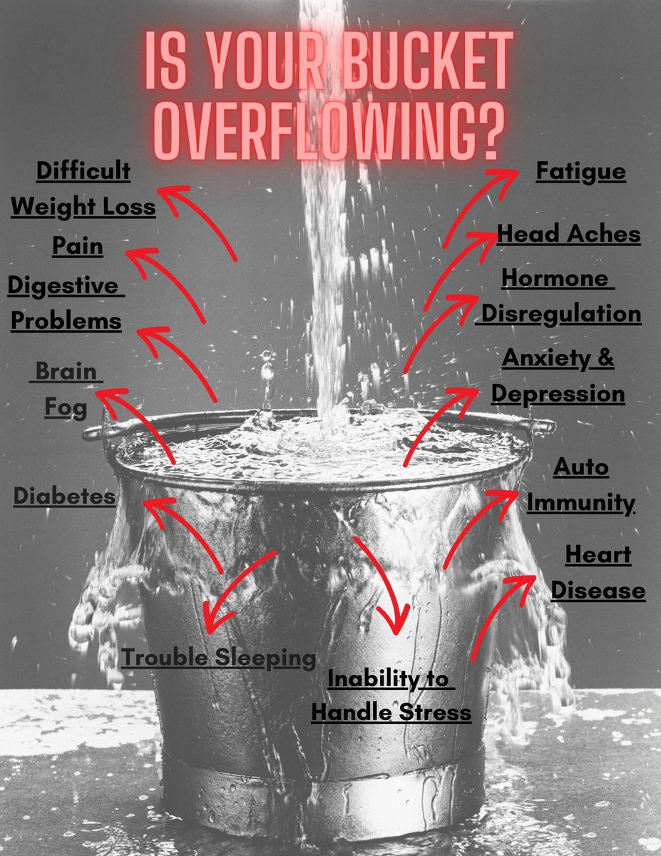 NaturopathicMD's tweet photo. Feeling foggy? What if detox could clarify your thoughts AND skyrocket your business? 🚀 #FunctionalMedicine #BrainBoost https://t.co/LLHaLz6m5U