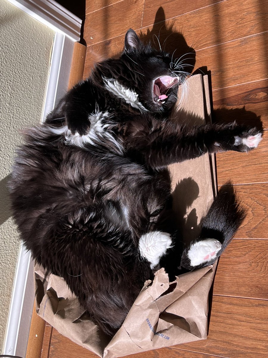 Mockfusion's tweet photo. Update: she sleep https://t.co/4ls4EUvftU