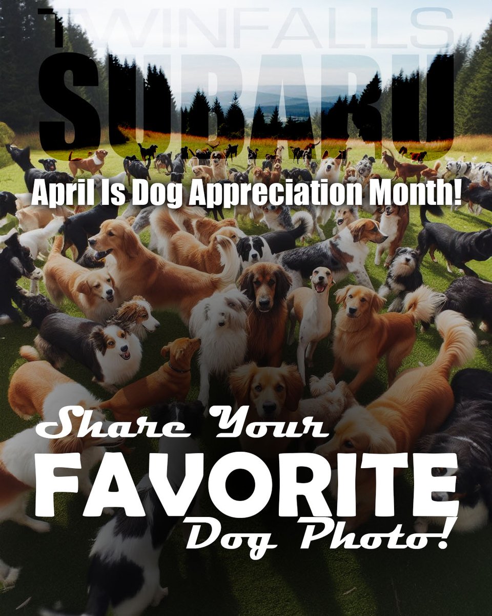April is 🐾 Dog Appreciation Month🐾!

🐕 We would love to see some of your fur kid photos!

Bonus points if it is with a Subaru. We aren't picky though, we just love dogs.

#twinfallsidaho #twinfallssubaru #dogappreciationmonth #welovedogs