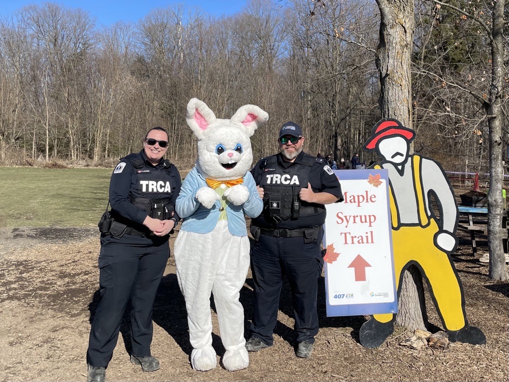 We had a very 'hoppy' Easter long weekend celebrating the maple syrup season with the Easter Bunny! 🐰 There is still one more weekend to enjoy the sweet taste of fresh maple syrup at our #TRCAMapleSyrupFestival! 🍁 Get tickets at trca.ca/activities/map…