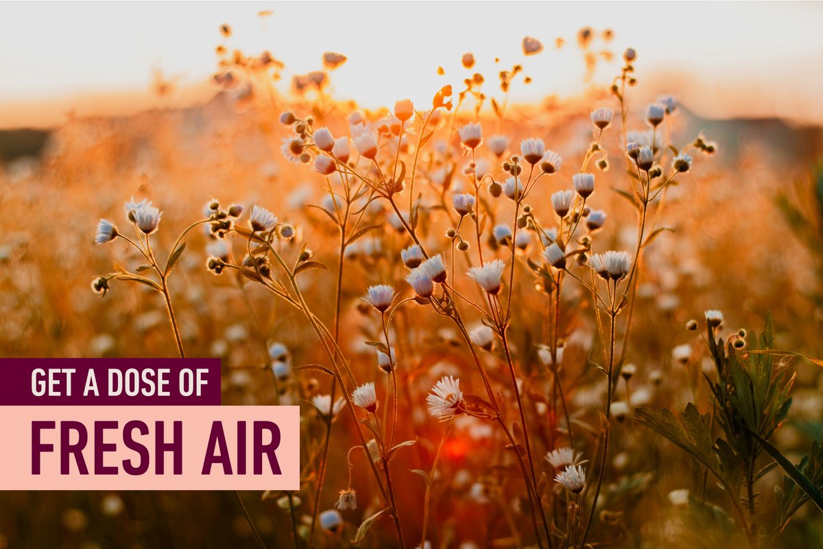 NaturoClips's tweet image. Healthy habits: Step outside every day to enjoy a walk and connect with nature. A dose of fresh air can revitalize your mind and body. #HealthyHabits #VitaminD #HealthyLifeStyle #MentalHealth