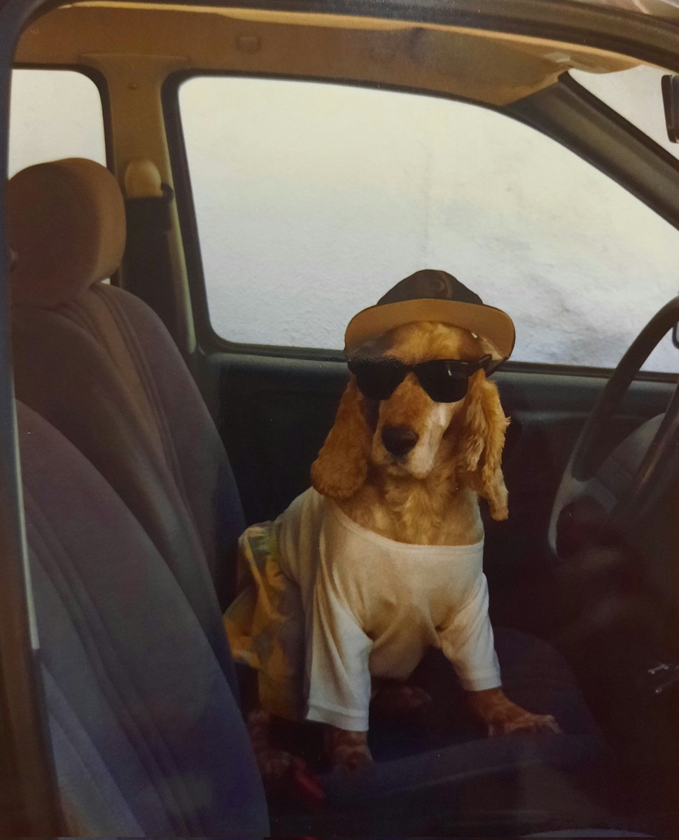 anibalchampagna's tweet photo. Mi hermanito menor y su oufit cool 🕶🧢
Mi amado Dino 🐕❤ siempre tan presente🐾
#cockerspaniels #cocker #cockerinstagram
#cockerspanielofamerica #mundococker #cockerspanielworld #cockerspanielclub #cockerspanielargentina #cockerspaniellovers #cockerspanielrules #cockers https://t.co/zkImLOTcj2