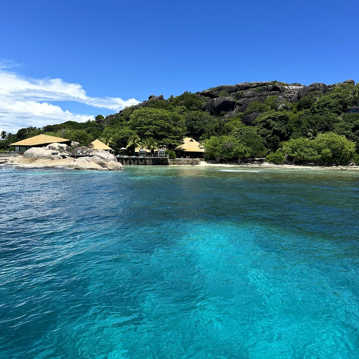 Michael Bitzinger tweet media