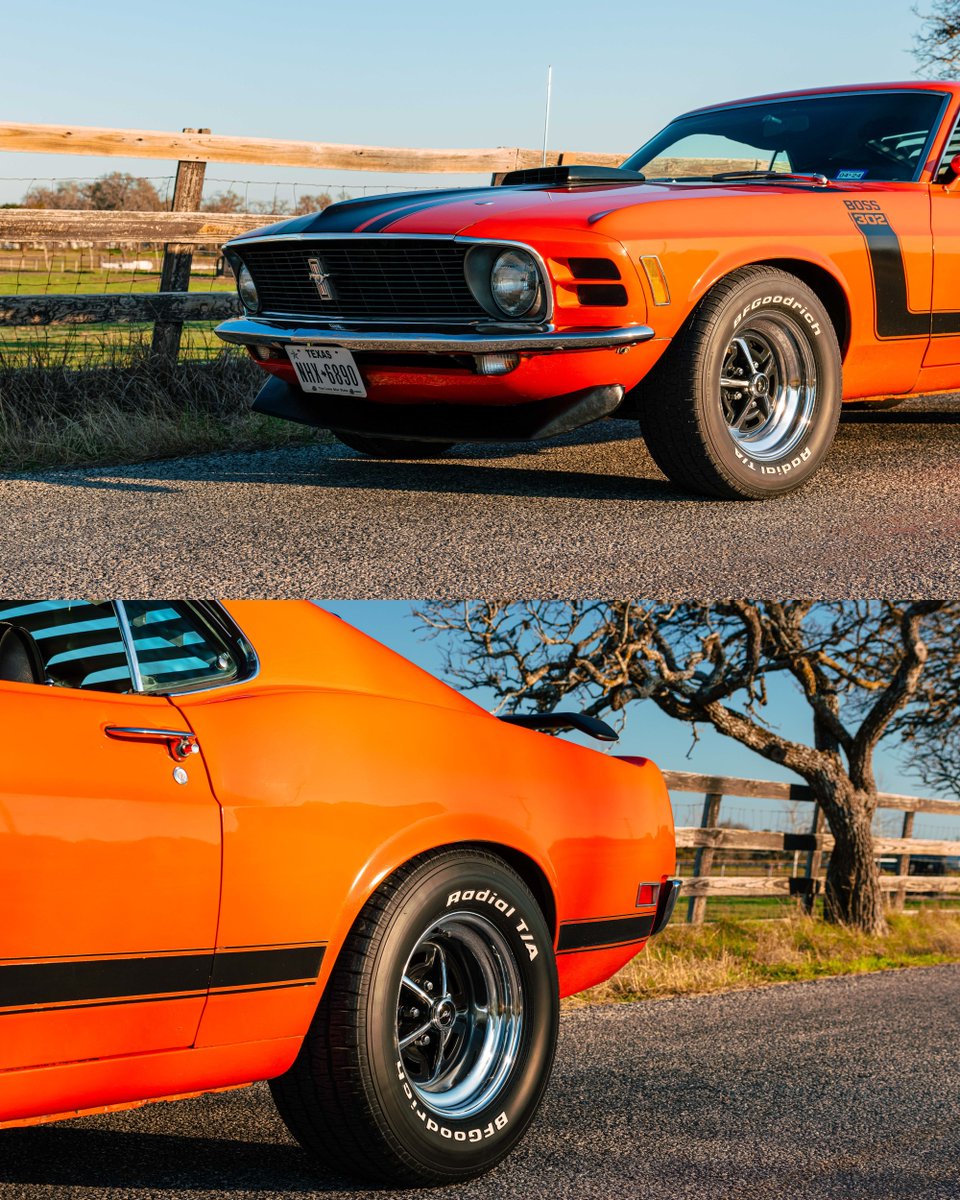 AedanPetty's tweet photo. More captures from this shoot I did with this beautiful 1970 Mustang Boss 302. This mustang had a road presence like no other, and driving next to it, you could just feel it shaking the ground.
#1970fordmustangboss302 #mustangboss302 #boss302 #musclecars #calypsocoral https://t.co/AqKeenB6KL